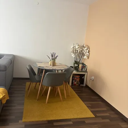 Apartman Champions League Short
